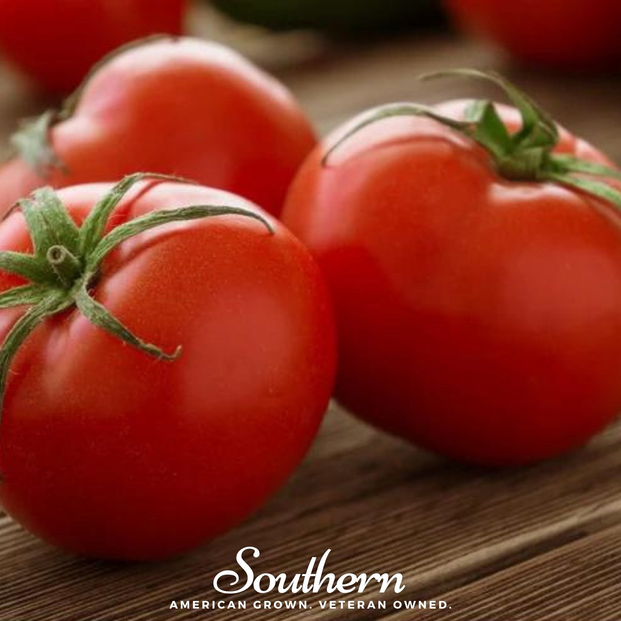 Ace 55 Tomato – 50 Seeds