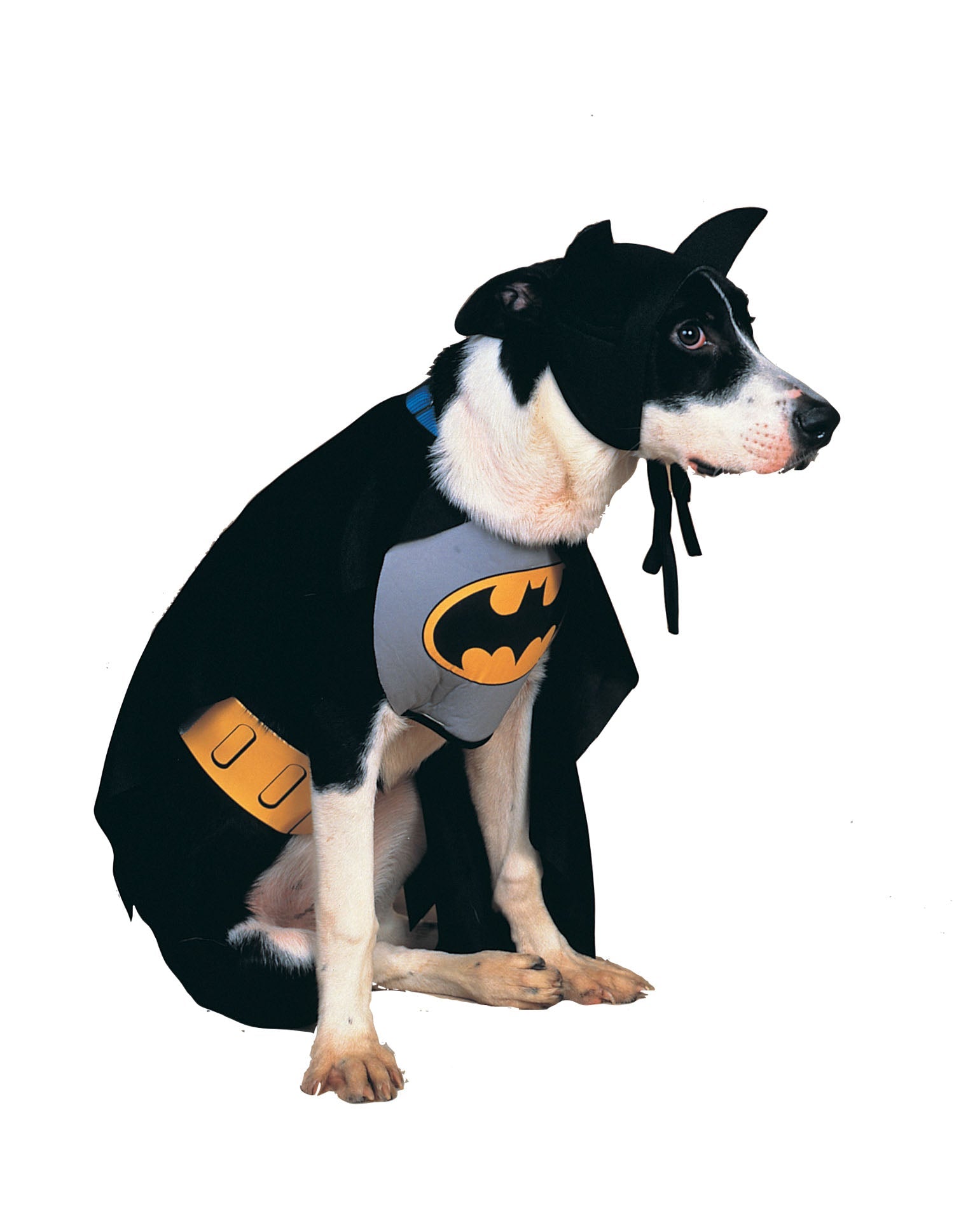Pets DC Universe Batman Bib & Cape Costume
