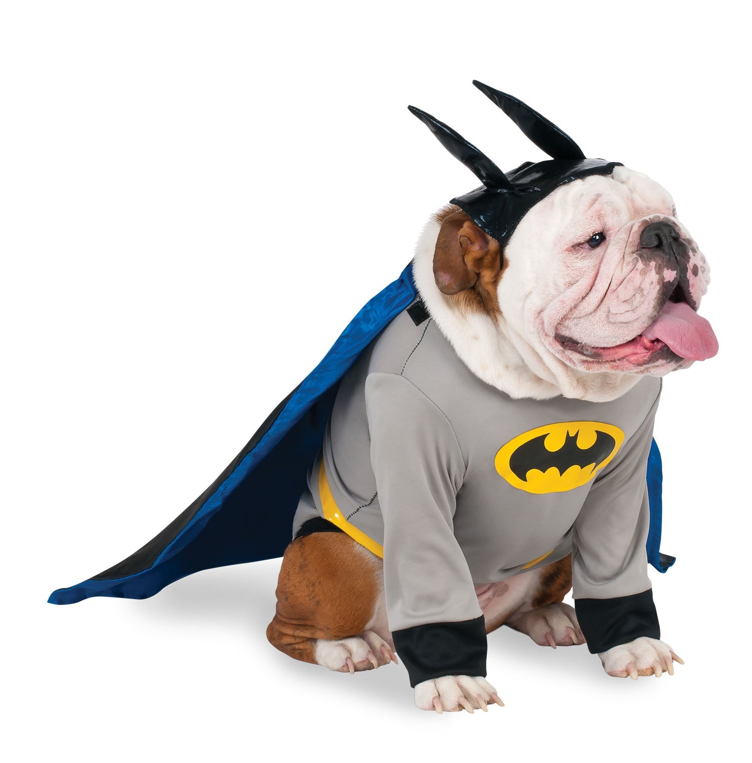 Pets DC Universe Batman Shirt & Cape Costume