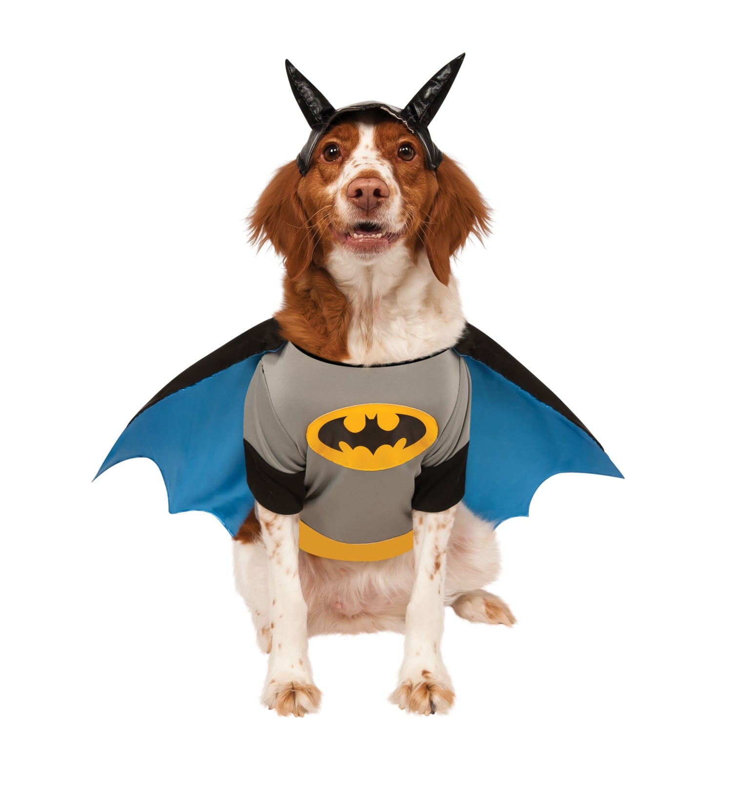 Pets DC Universe Batman Shirt & Cape Costume