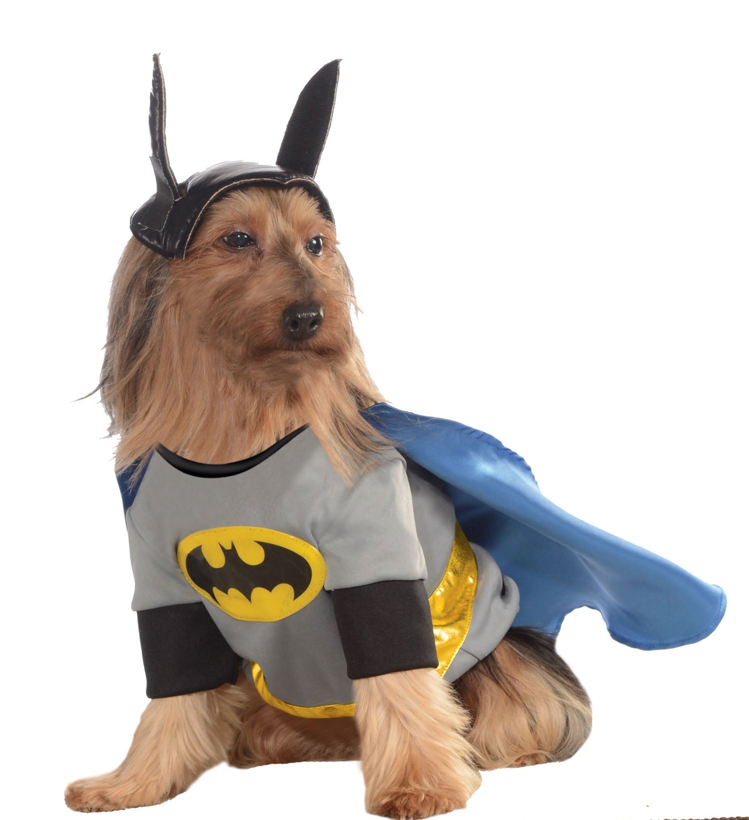 Pets DC Universe Batman Shirt & Cape Costume