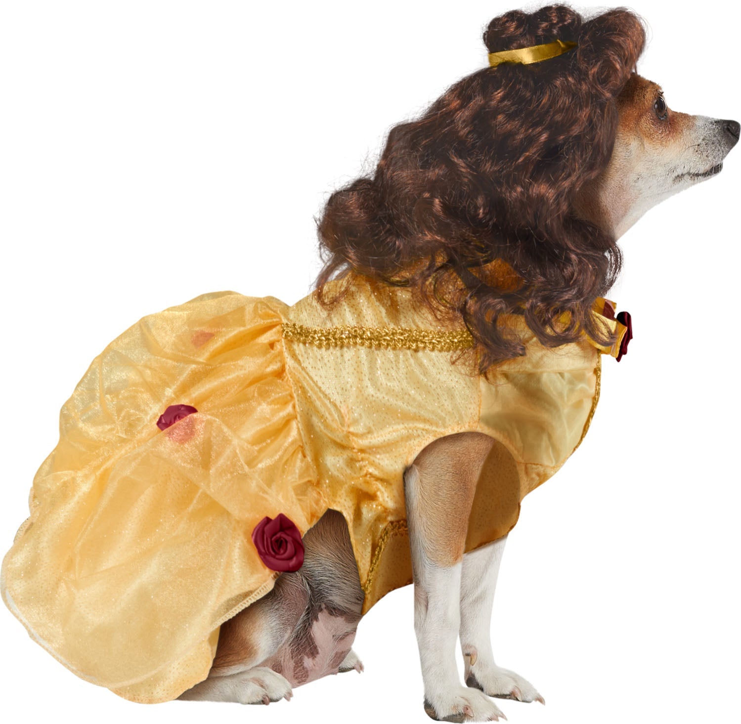Pets Disney's Beauty and the Beast Belle Costume