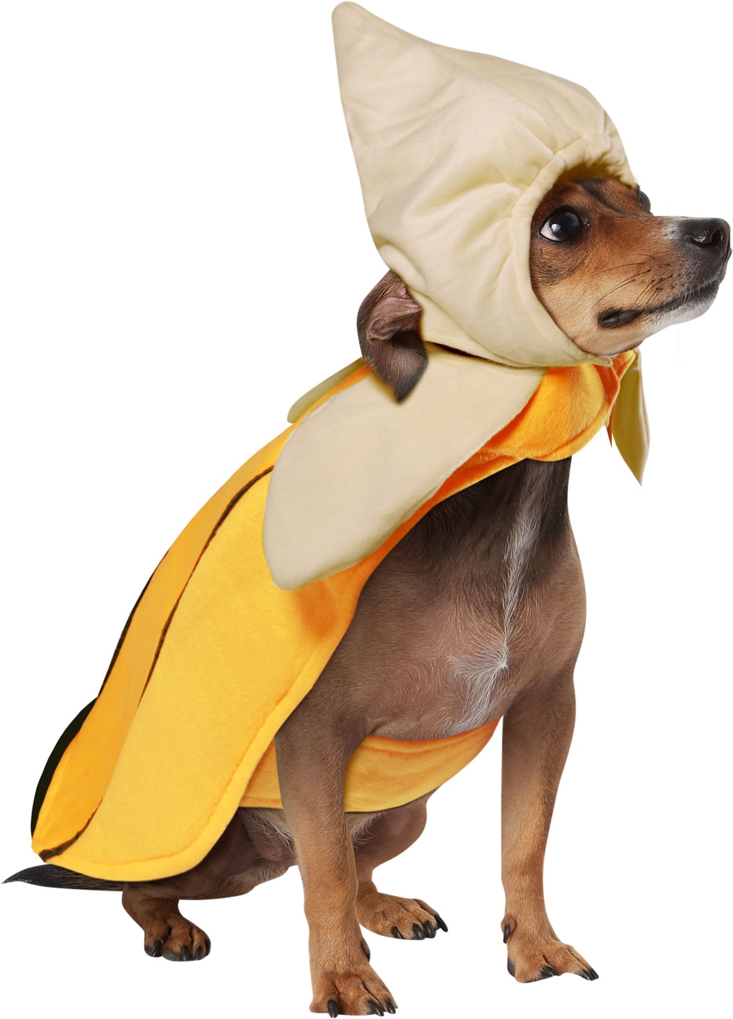 Pets Peeling Banana Costume