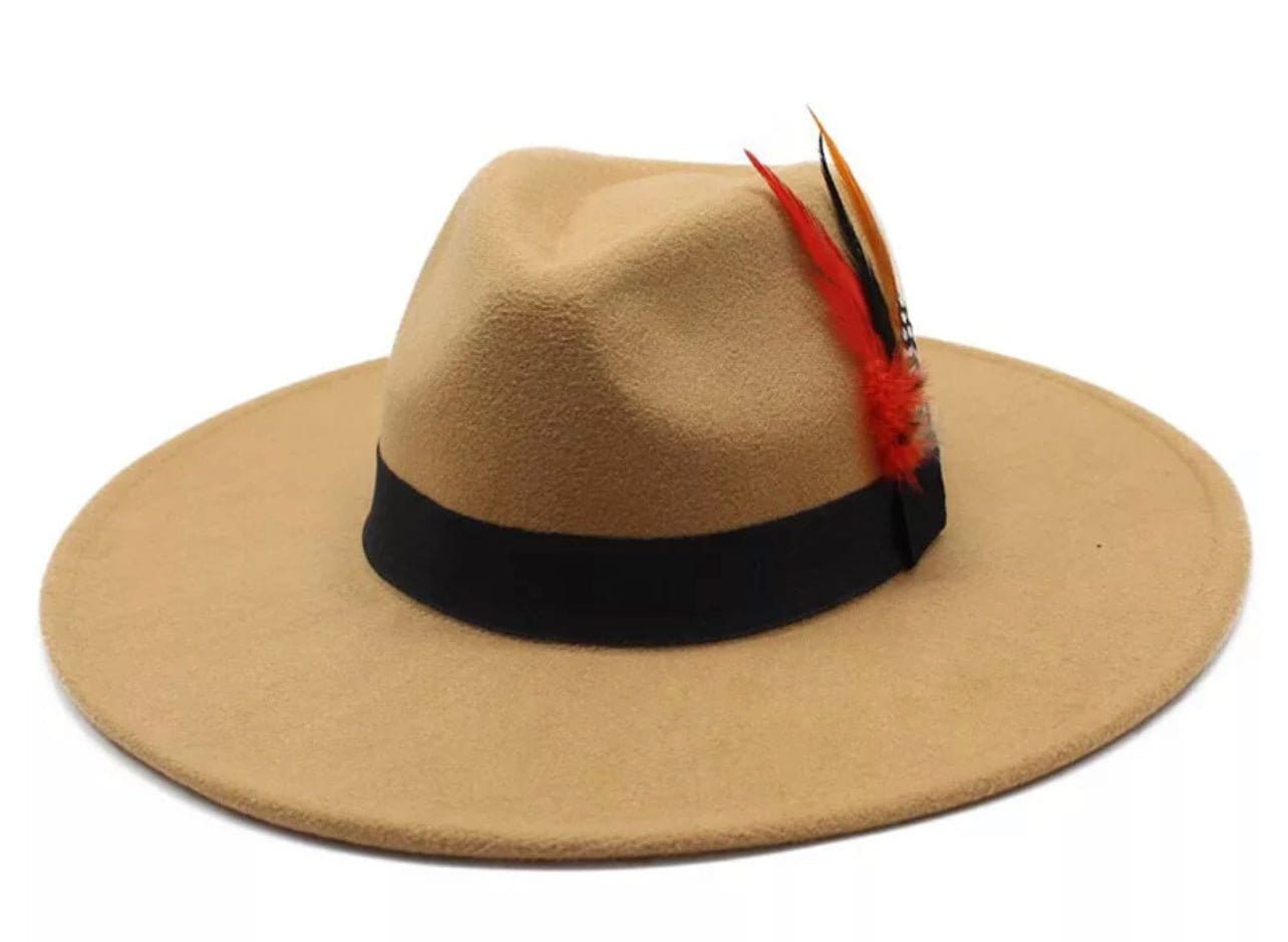 Wide Brim feathered Fedora-2