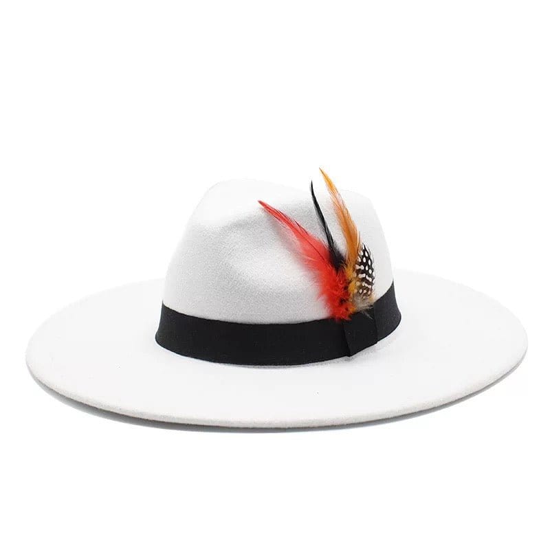 Wide Brim feathered Fedora-6