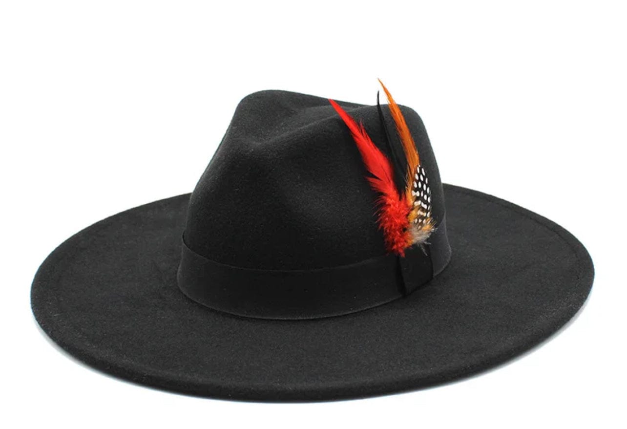 Wide Brim feathered Fedora-7