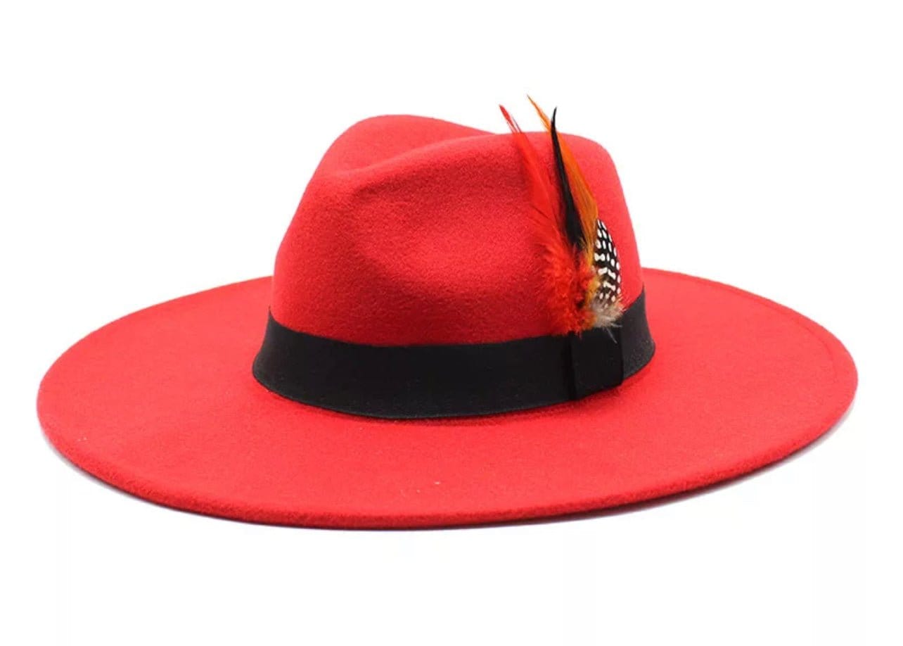 Wide Brim feathered Fedora-3