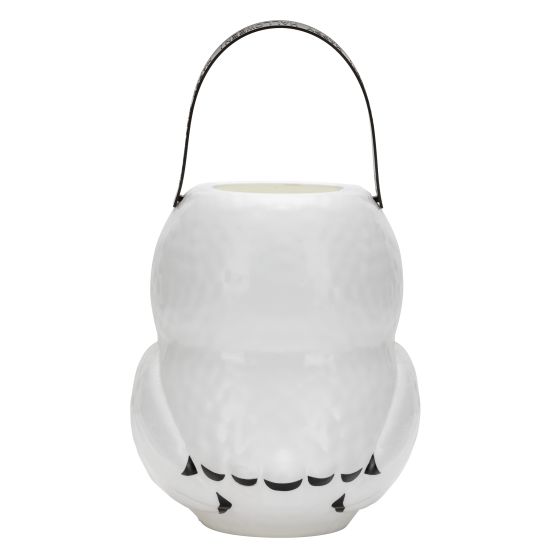 Harry Potter Hedwig Trick or Treat Candy Pail Bucket