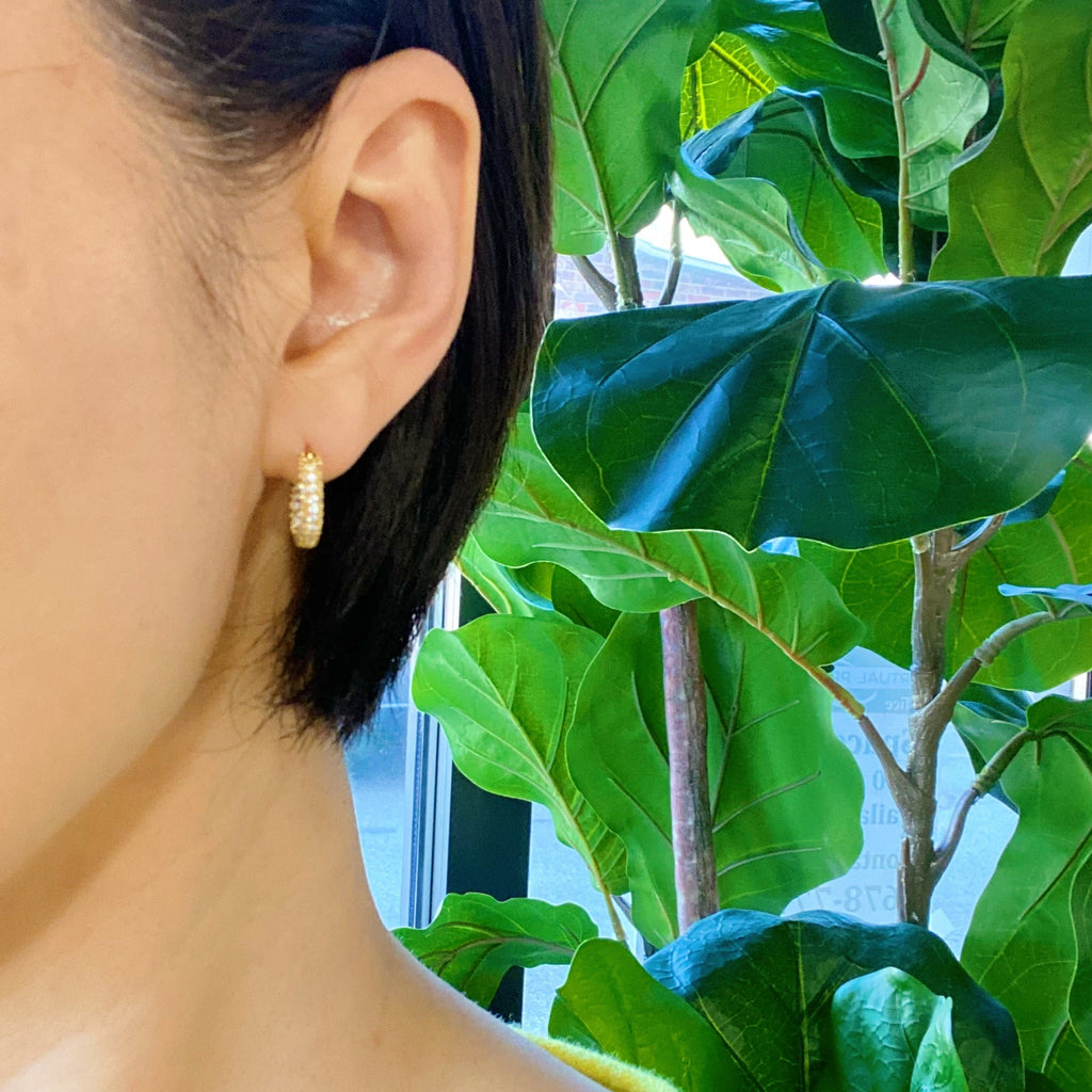 Elegant Shine Hoop Earrings-2