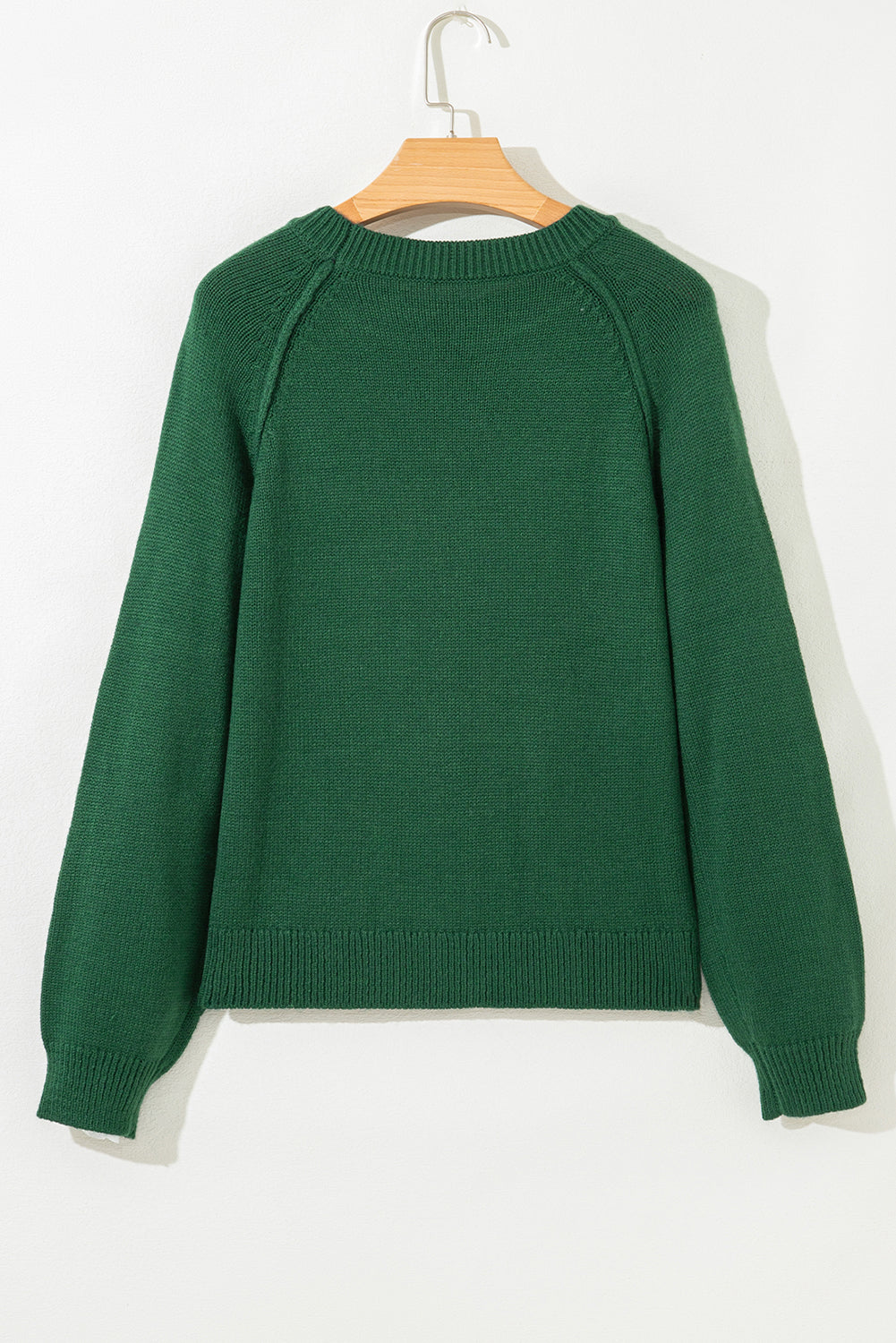 Evergreen Plain Raglan Sleeve Crew Neck Sweater