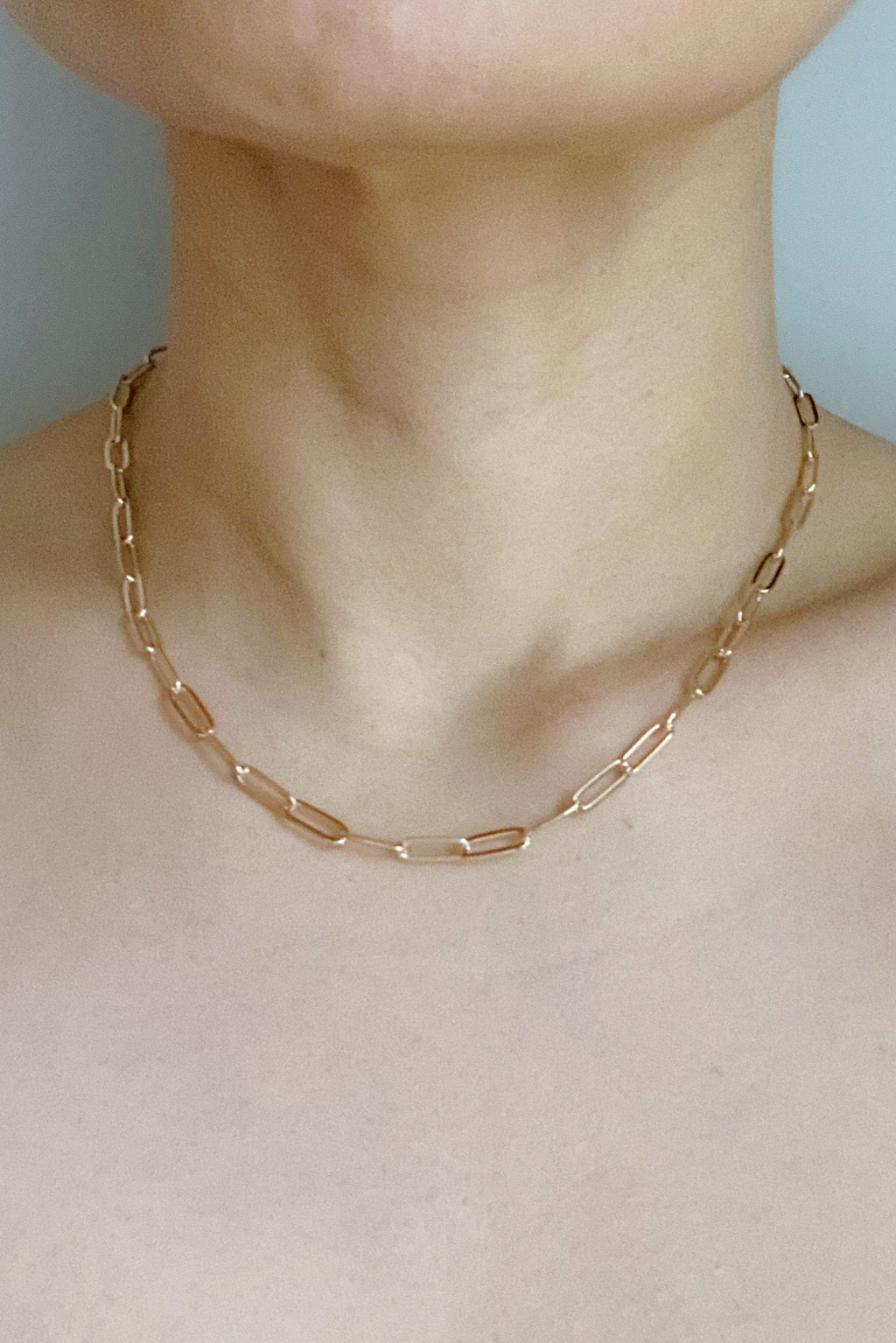 Dainty Link Chain Necklace-1