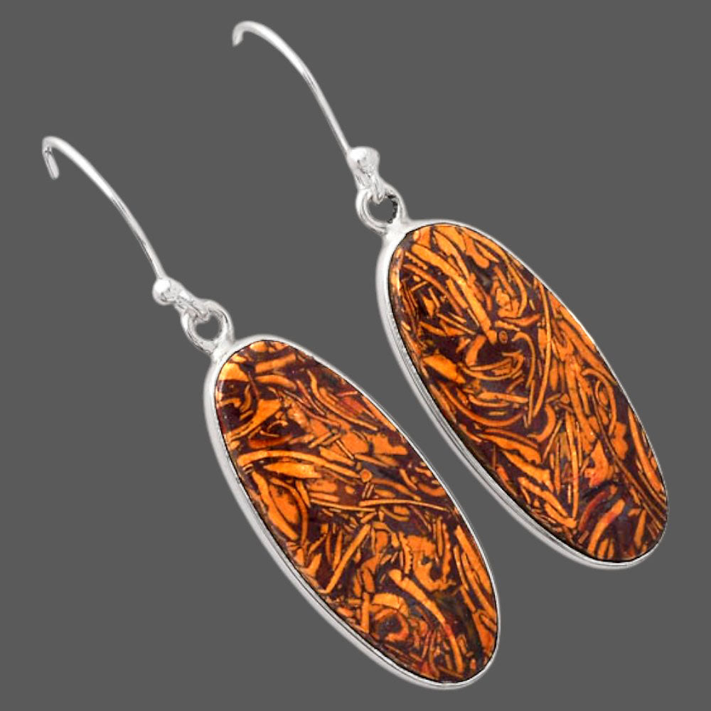 Natural Coquina Fossil Jasper India Earrings E-1001 SDE88222-2