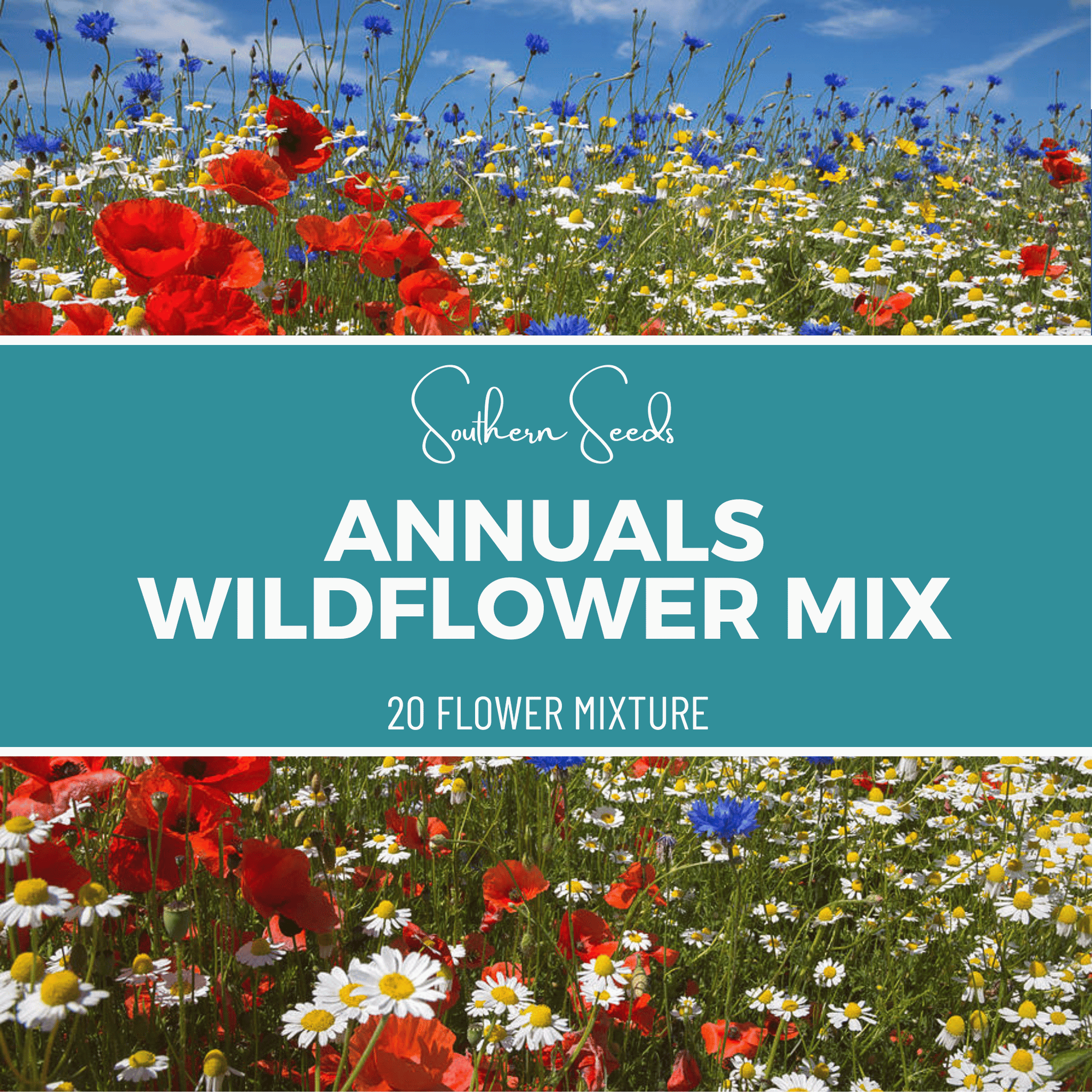 Annuals Wildflower Seed Mix (20 Varieties) – 1,000 Seeds
