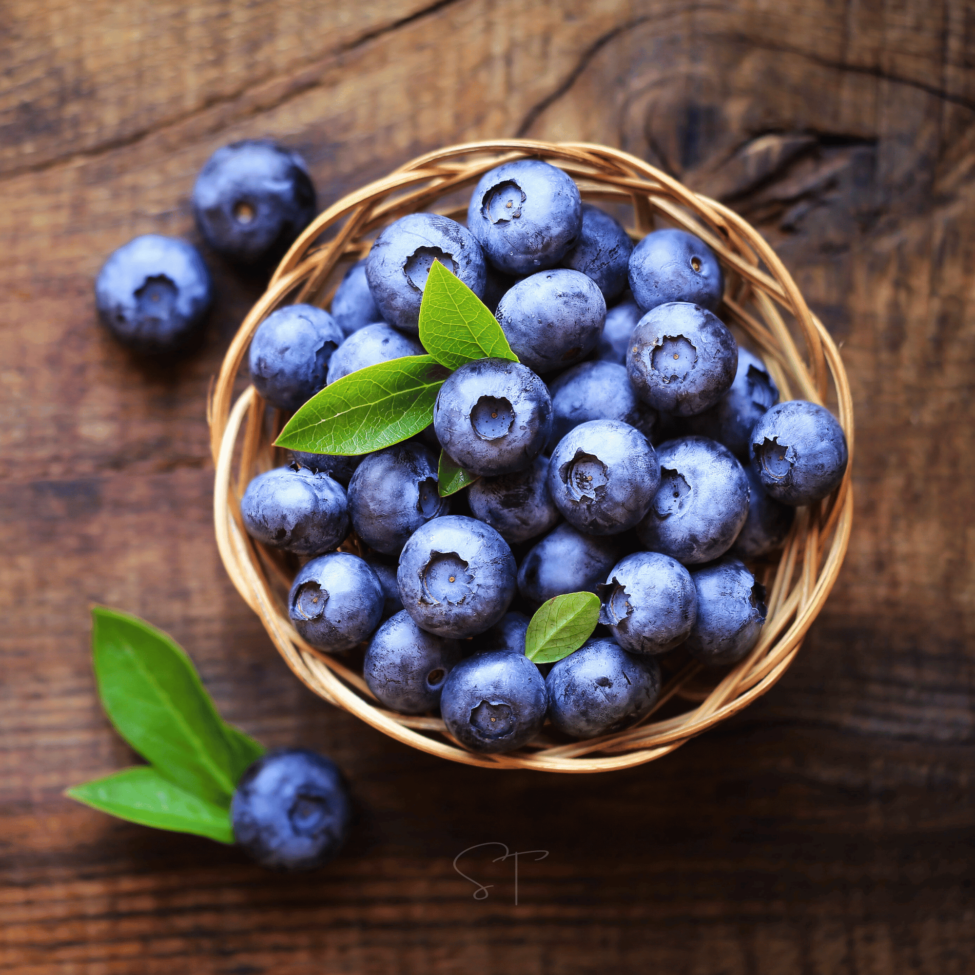 Northern Highbush Blueberry – 50 Seeds