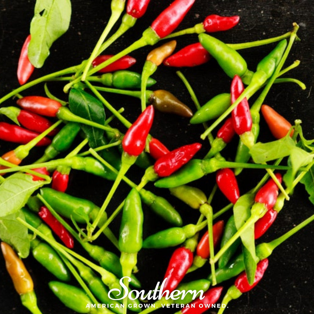 Birds Eye Chili Pepper – 30 Seeds
