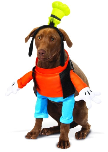 Pets Disney's Goofy Costume