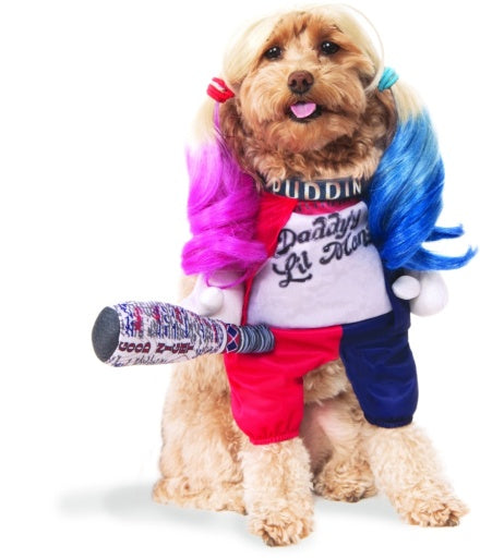 Pets DC Universe Harley Quinn Costume
