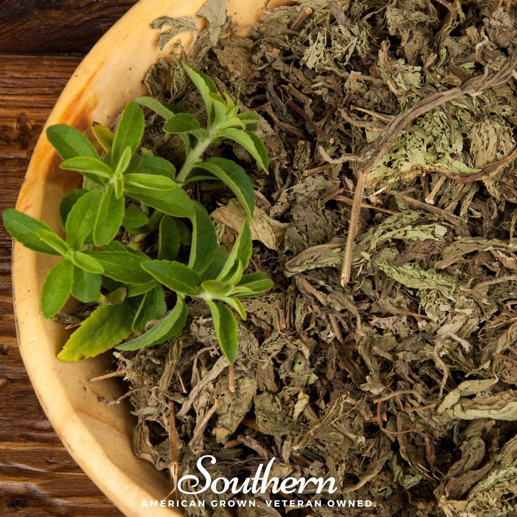 Stevia – 50 Seeds