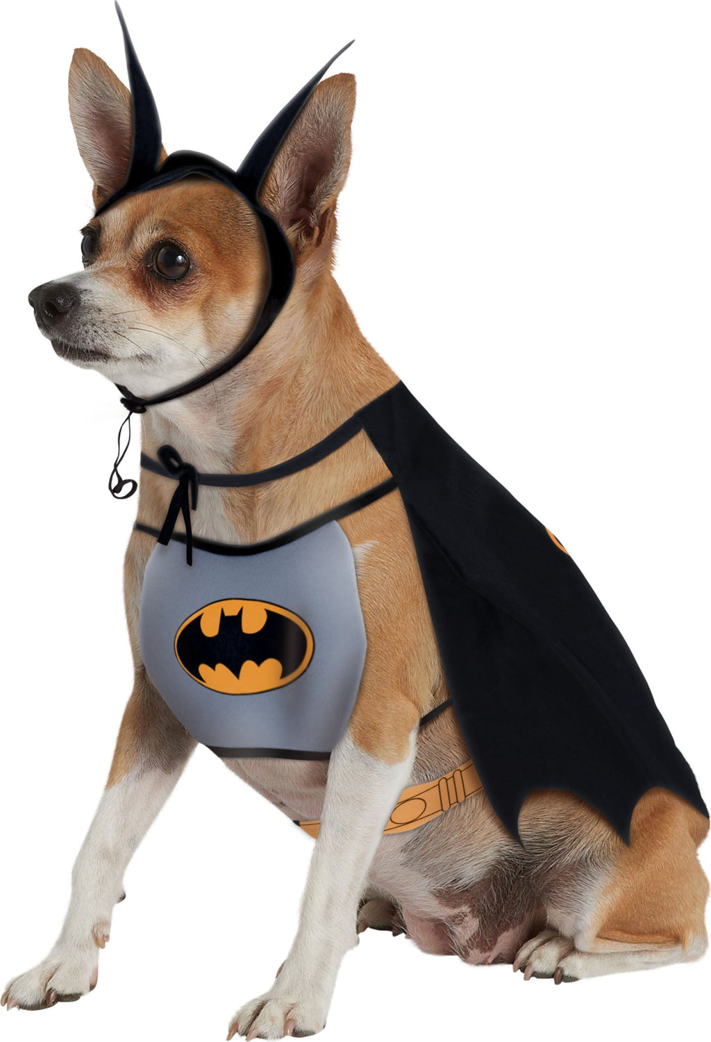 Pets DC Universe Batman Bib & Cape Costume