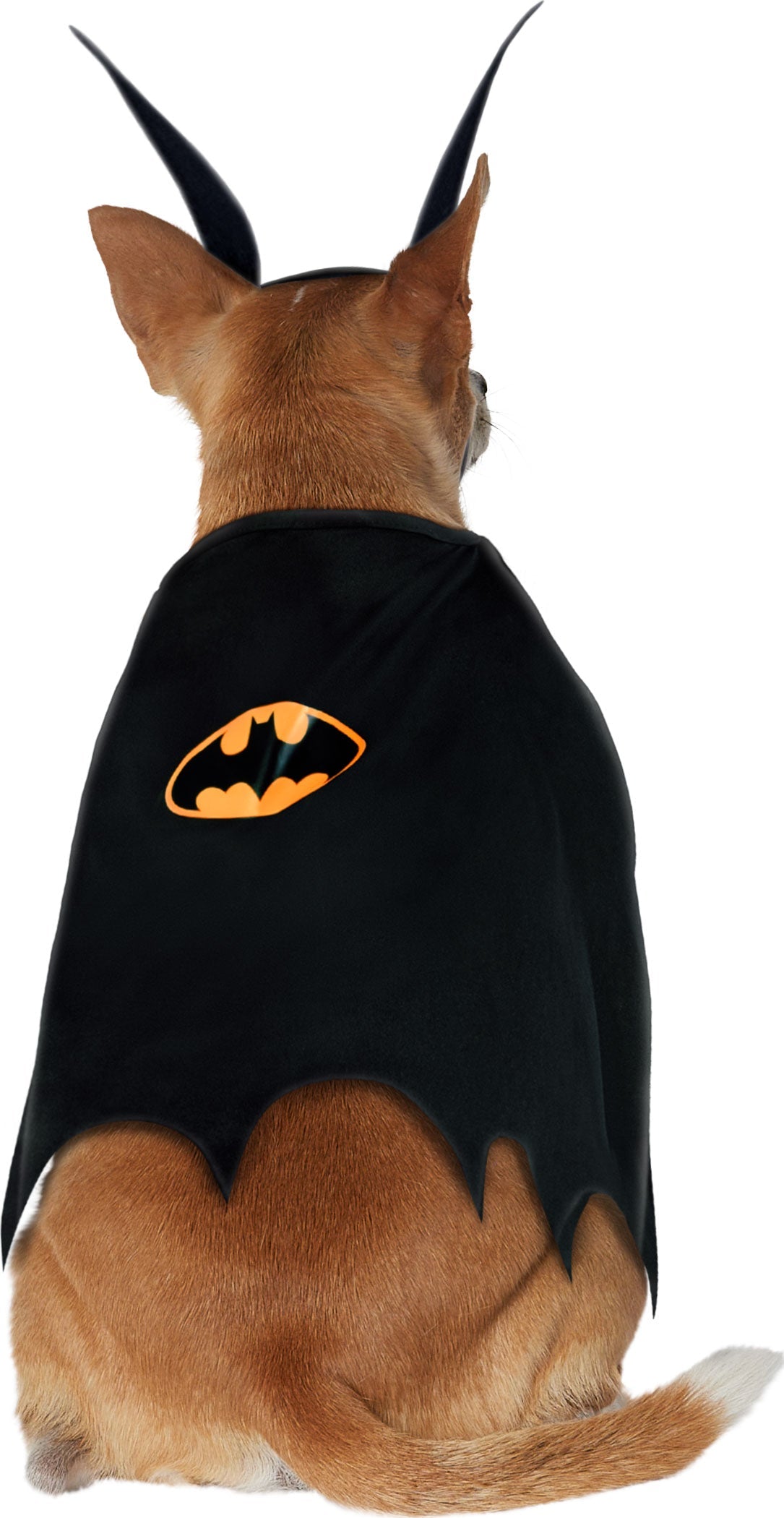 Pets DC Universe Batman Bib & Cape Costume