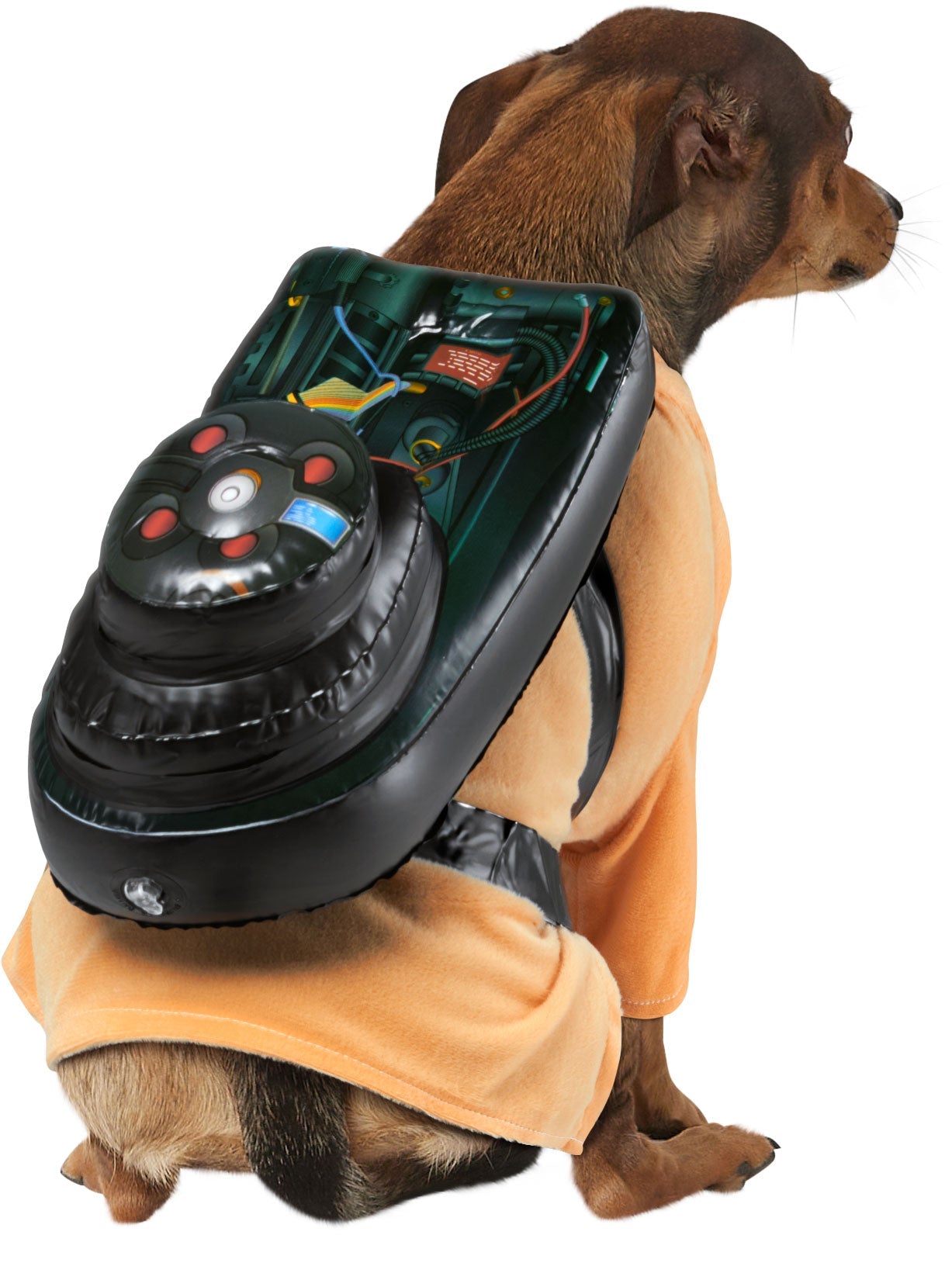 Pets Ghostbuster Costume