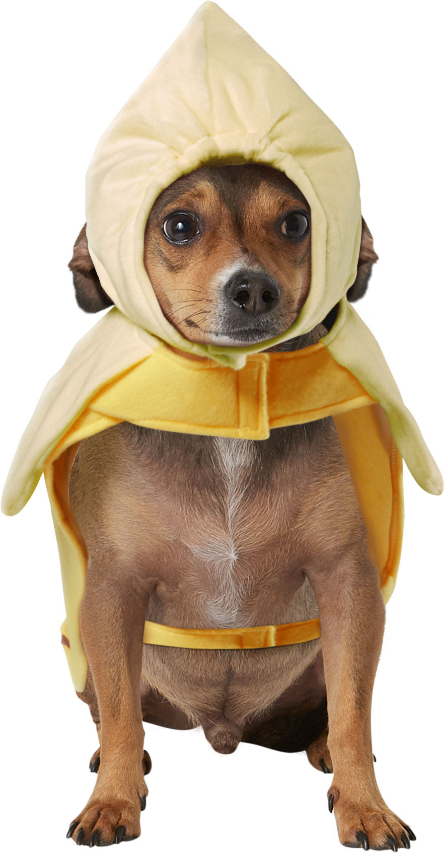 Pets Peeling Banana Costume