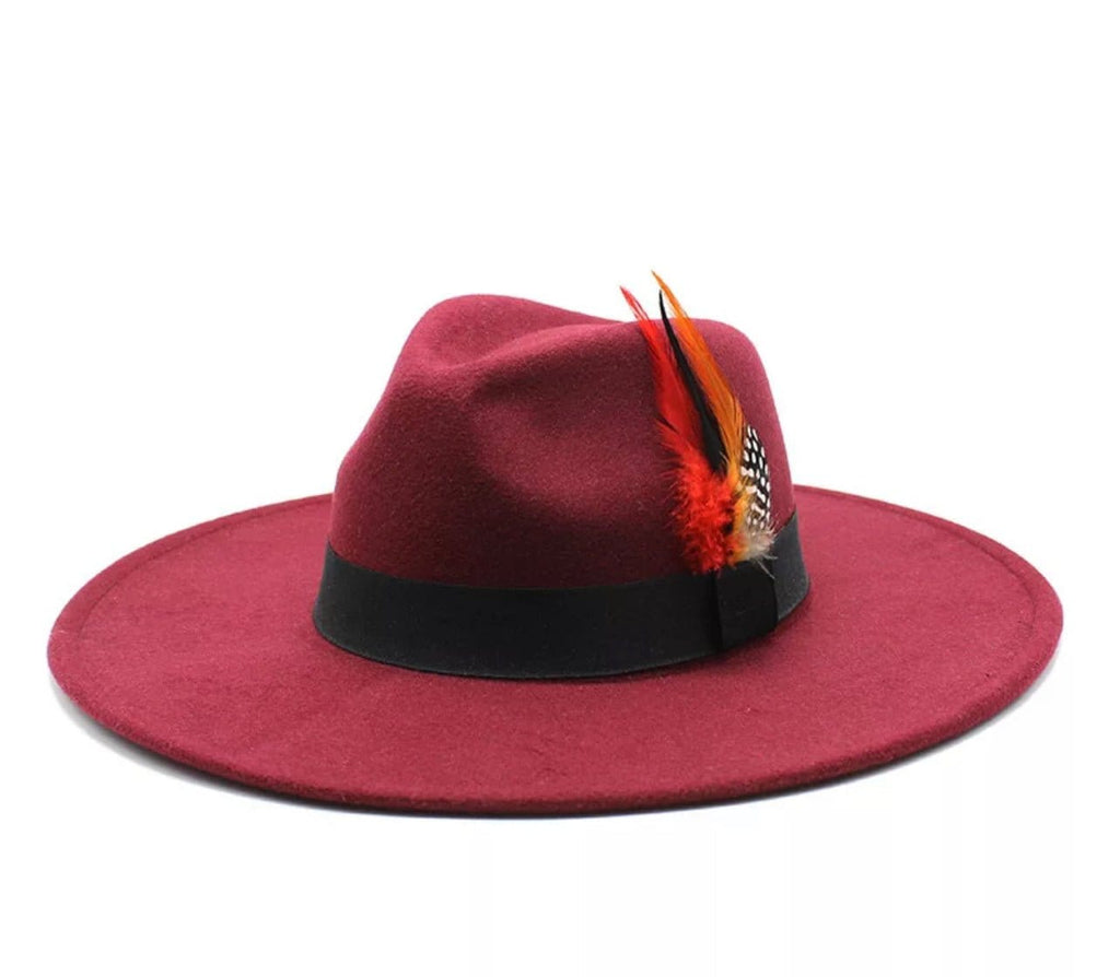 Wide Brim feathered Fedora-4